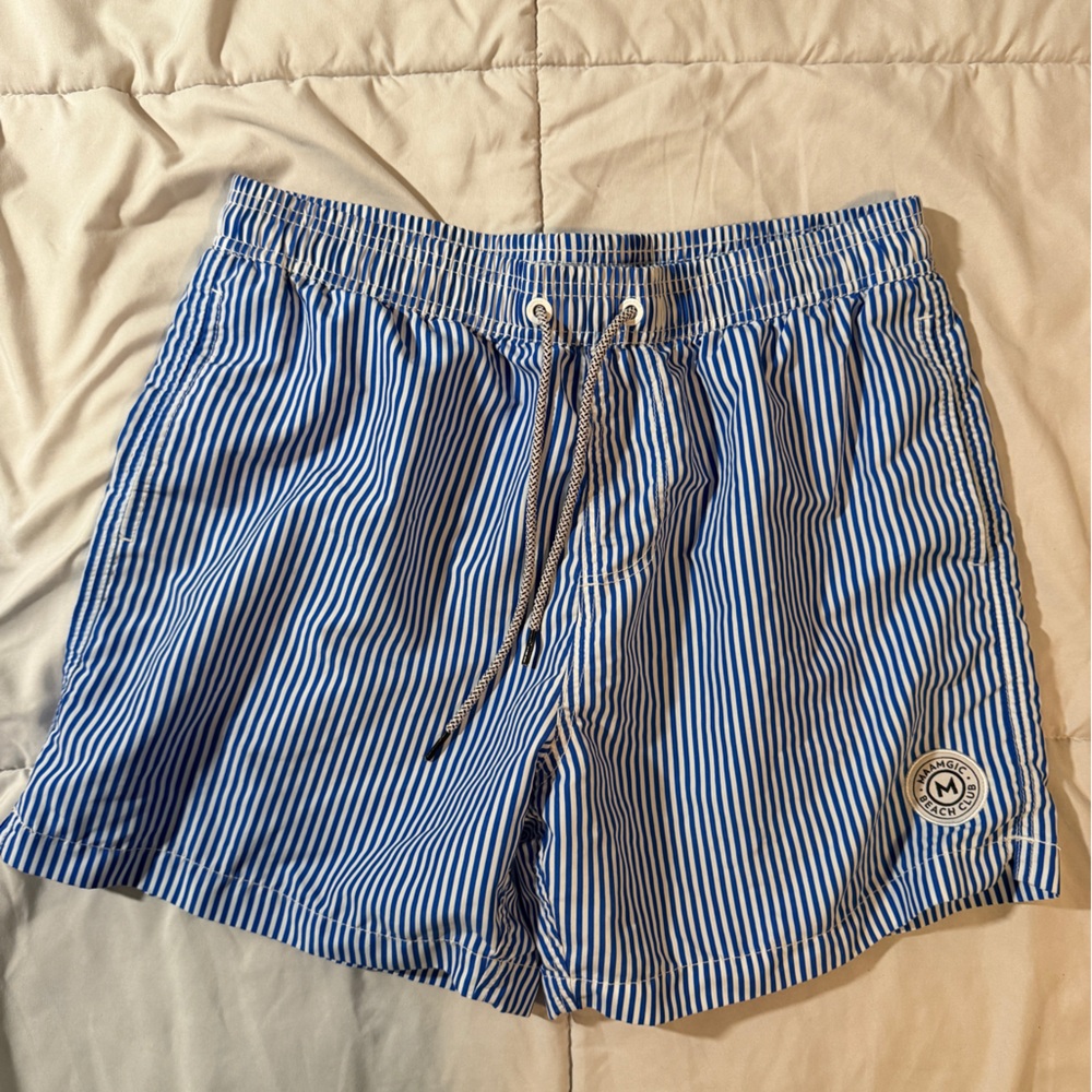 Blue Striped Women's Shorts